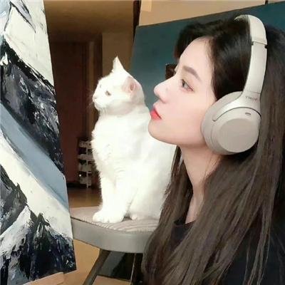 说得好，小猫咪！